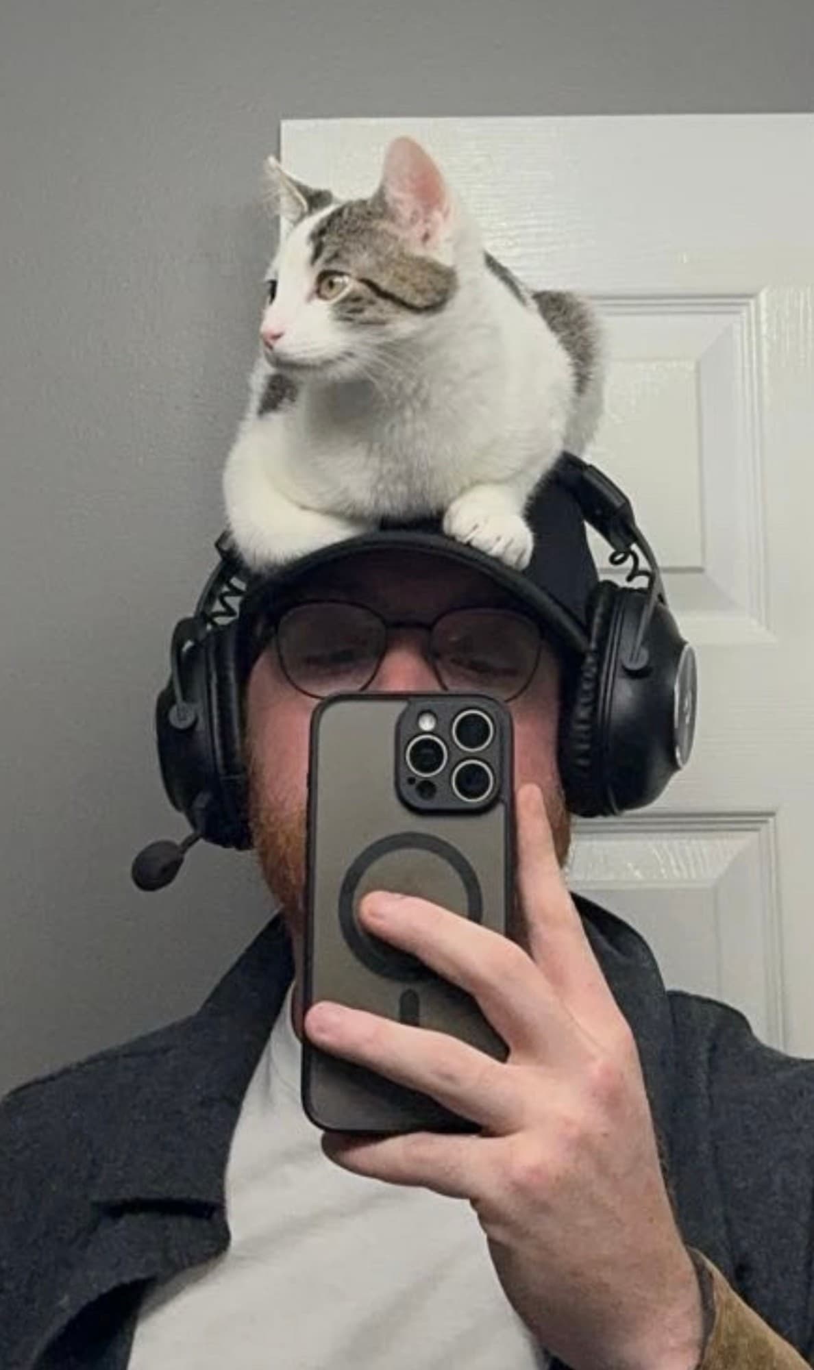 My cat, supervising from my headset